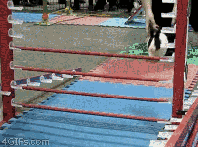 Acid Gifdump, July 9 (25 gifs)