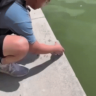 Acid Gifdump, July 9 (25 gifs)