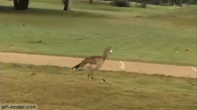 Acid Gifdump, July 10 (25 gifs)
