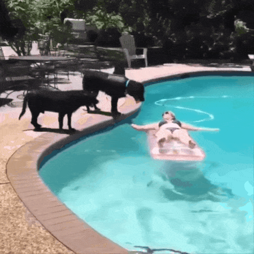 Acid Gifdump, July 10 (25 gifs)