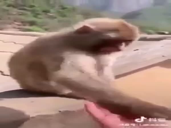 Don't Do It Again, Please!