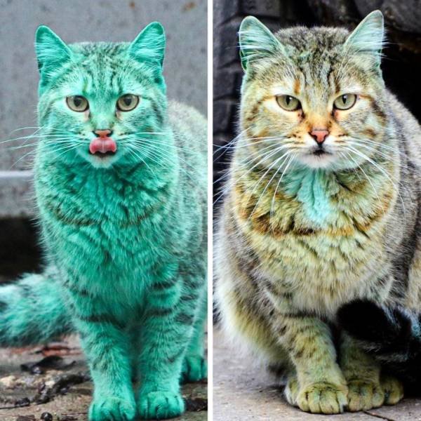 Everybody Has A Story (17 pics)