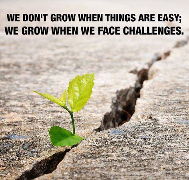 Pictures For Your Motivation (29 pics)