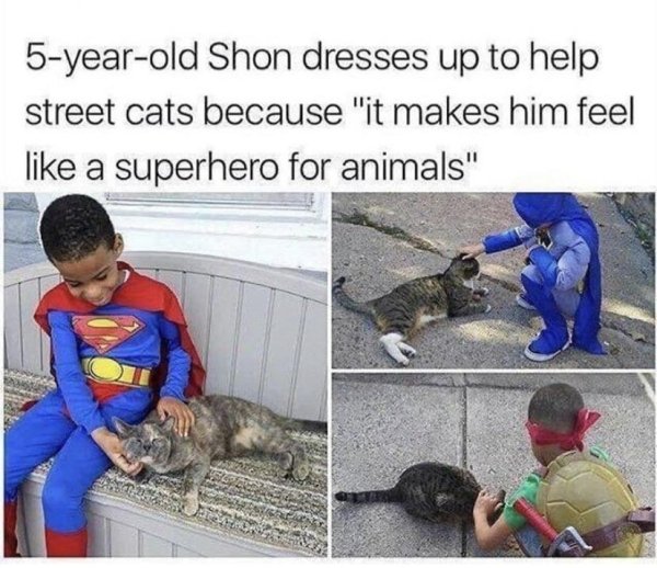 Wholesome Stories (29 pics)
