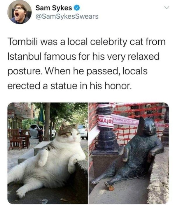 Wholesome Stories (29 pics)