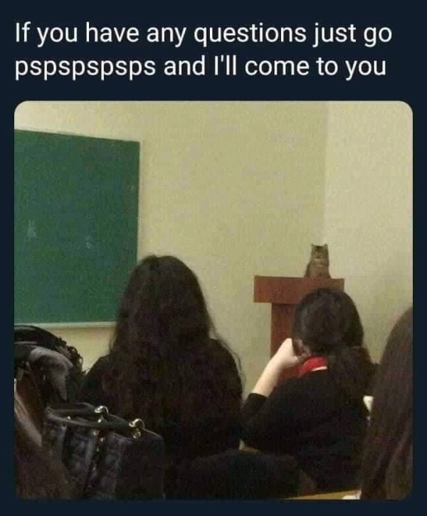 Wholesome Stories (29 pics)