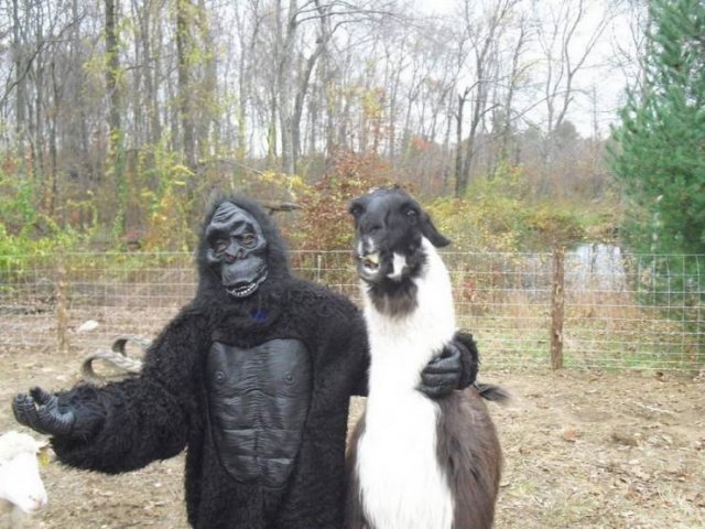 Acid Picdump. Part 1 (95 pics)