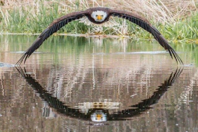 Acid Picdump. Part 2 (93 pics)