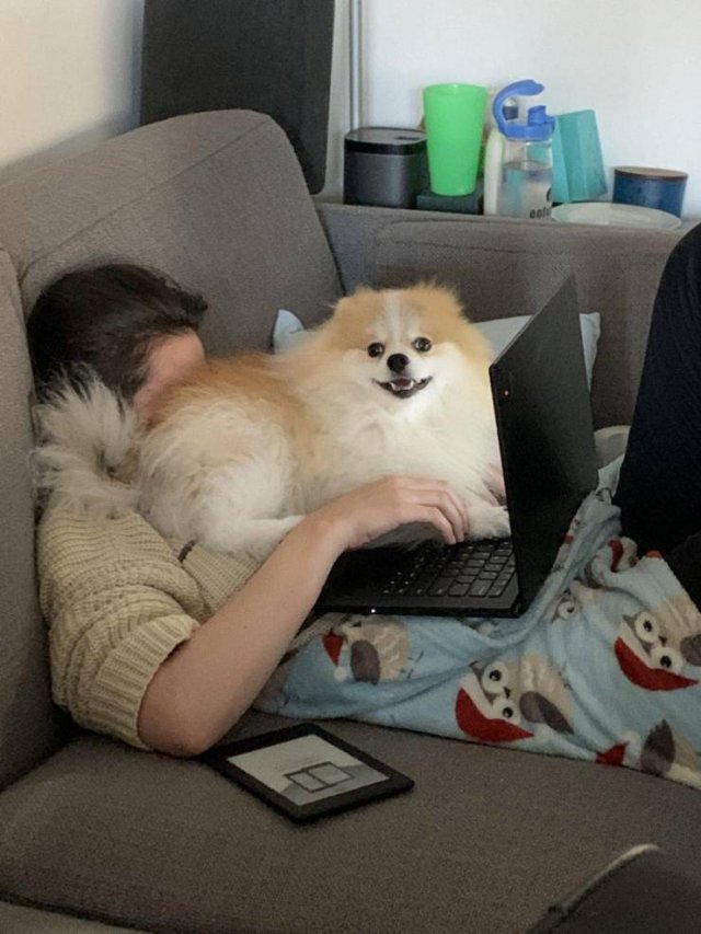 Acid Picdump. Part 1 (95 pics)
