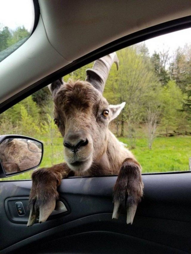 Acid Picdump. Part 2 (93 pics)