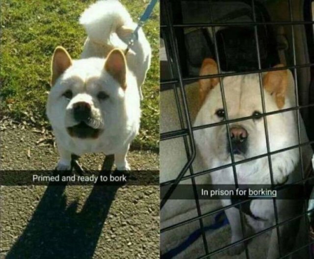 Acid Picdump. Part 2 (93 pics)