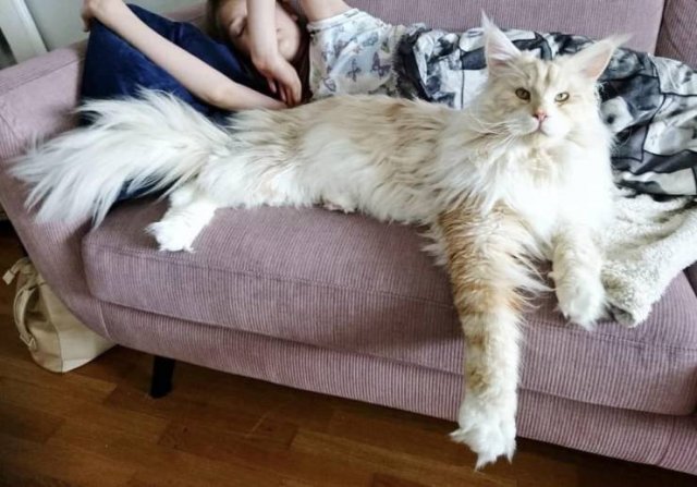 Acid Picdump. Part 1 (95 pics)