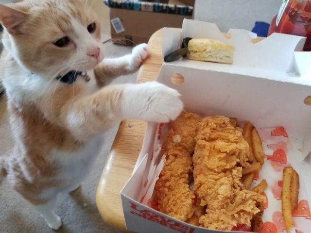 Acid Picdump. Part 1 (95 pics)