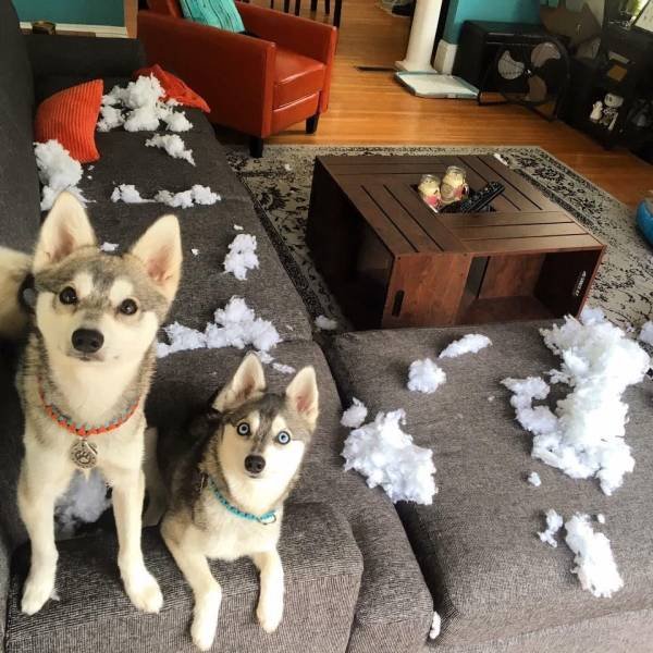 Acid Picdump. Part 2 (93 pics)