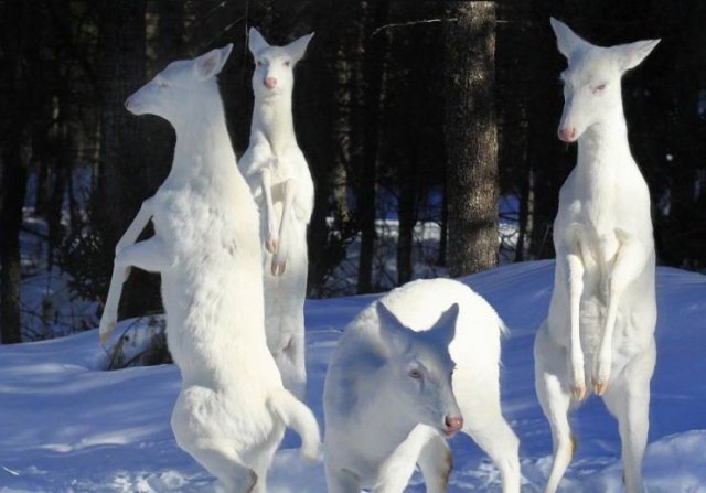 Acid Picdump. Part 2 (93 pics)