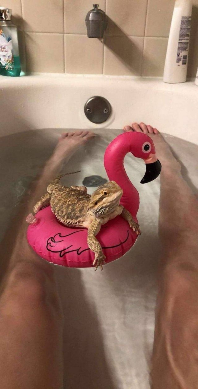 Acid Picdump. Part 1 (95 pics)