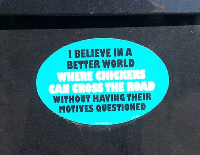 Bumper Stickers (19 pics)