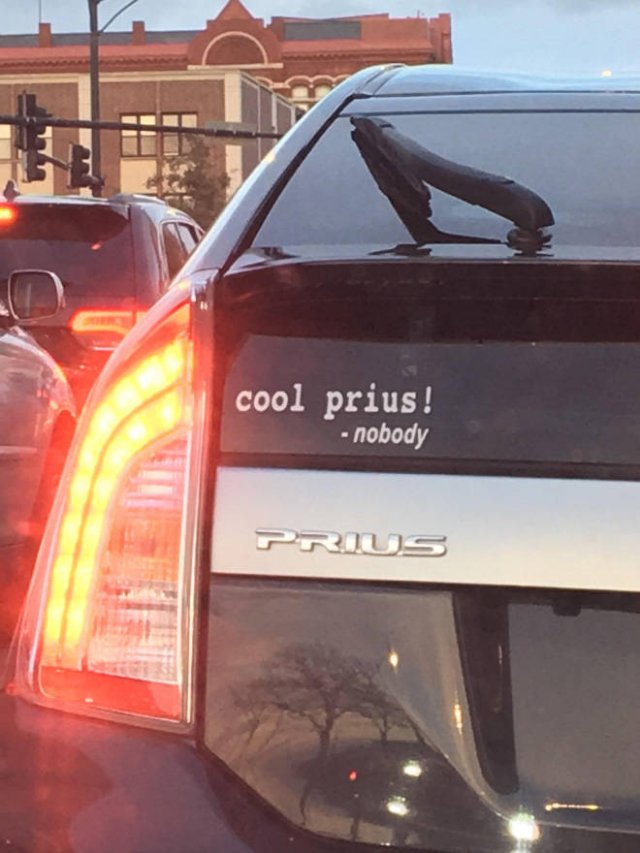 Bumper Stickers (19 pics)