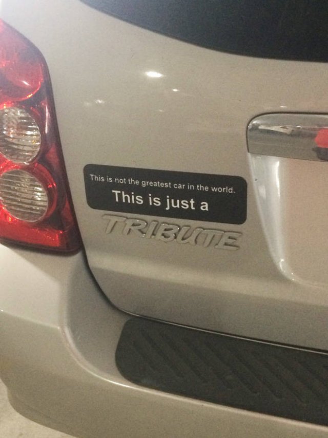 Bumper Stickers (19 pics)
