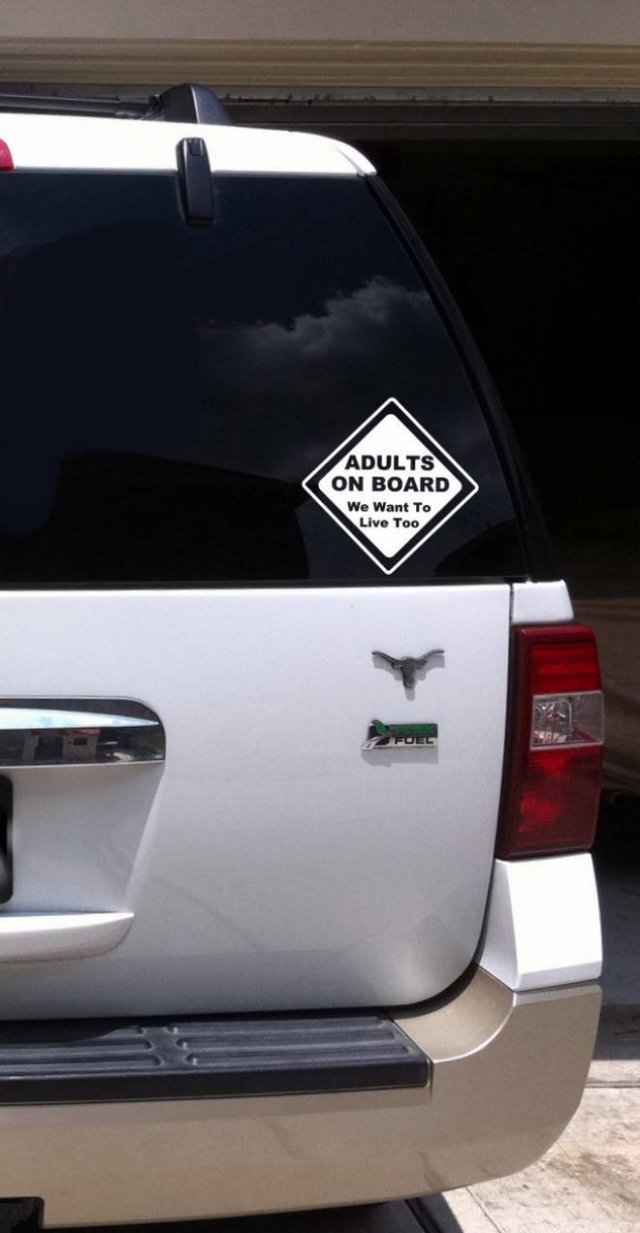 Bumper Stickers (19 pics)