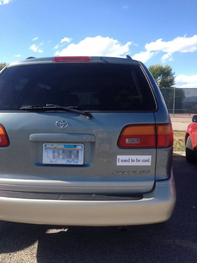 Bumper Stickers (19 pics)
