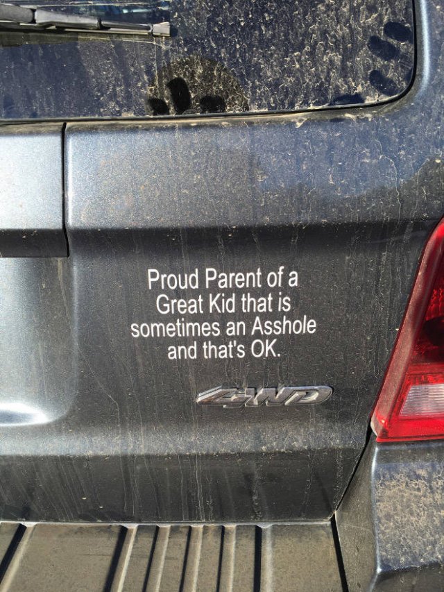 Bumper Stickers (19 pics)