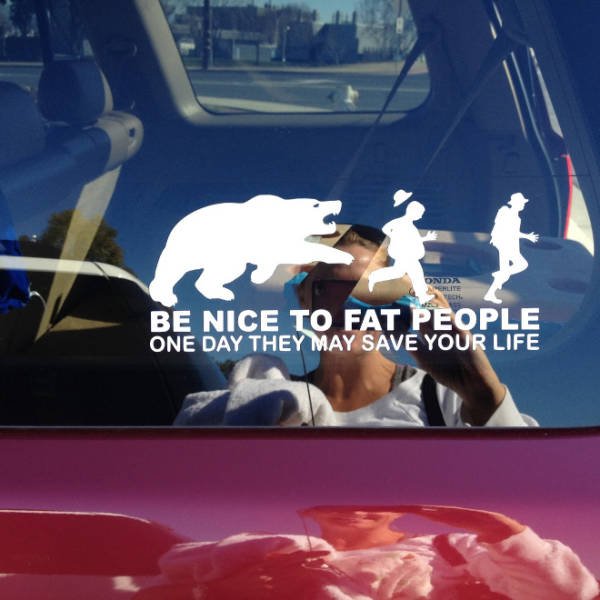 Bumper Stickers (19 pics)