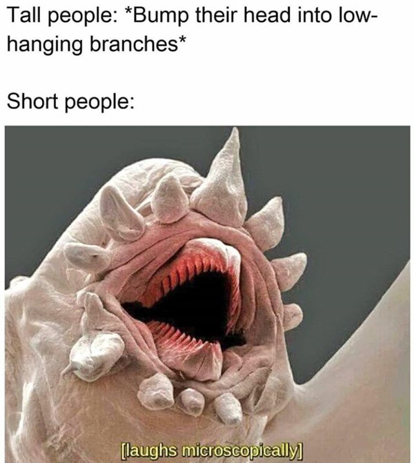 Random Funny Memes (27 pics)