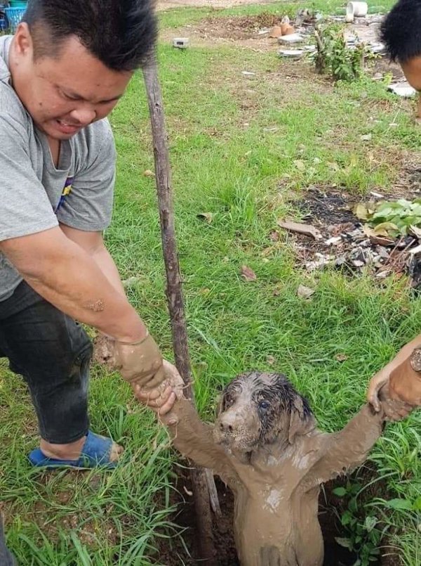 Hilarious Animals (38 pics)