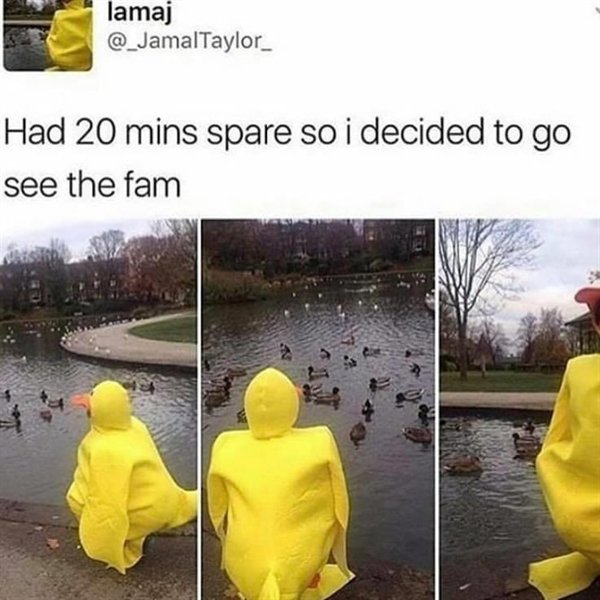 Random Funny Memes (27 pics)