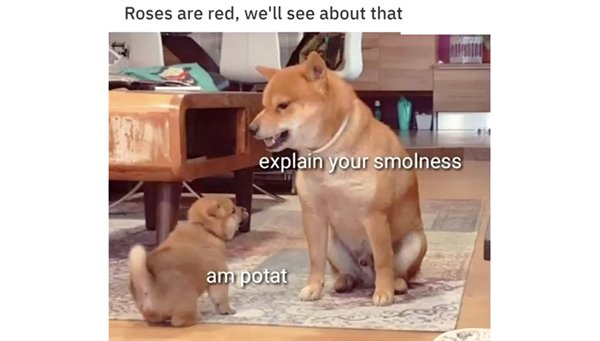 Random Funny Memes (27 pics)