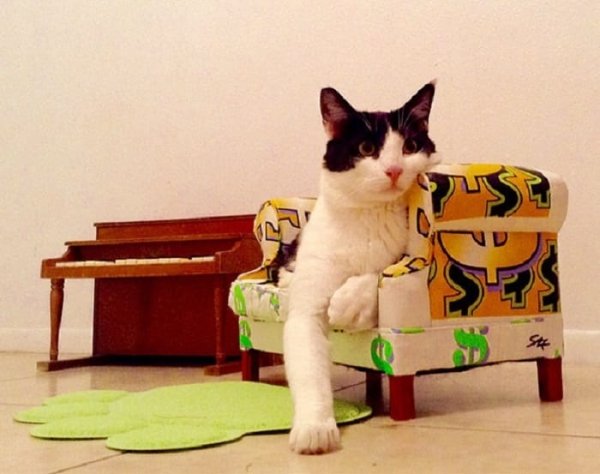 Thrift Shop Treasures (36 pics)