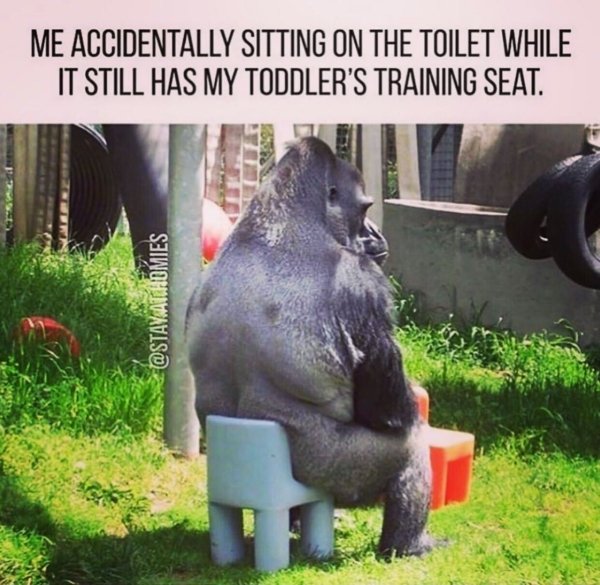 Parenting Memes (34 pics)
