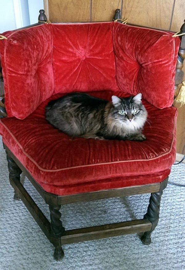 Thrift Shop Treasures (36 pics)