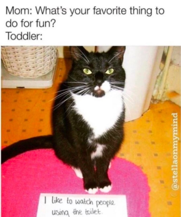 Parenting Memes (34 pics)