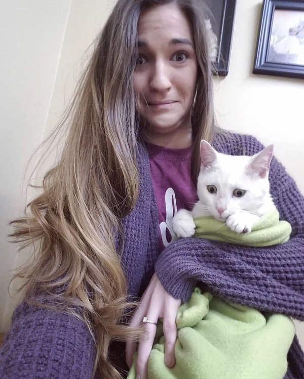 Hilarious Animals (38 pics)