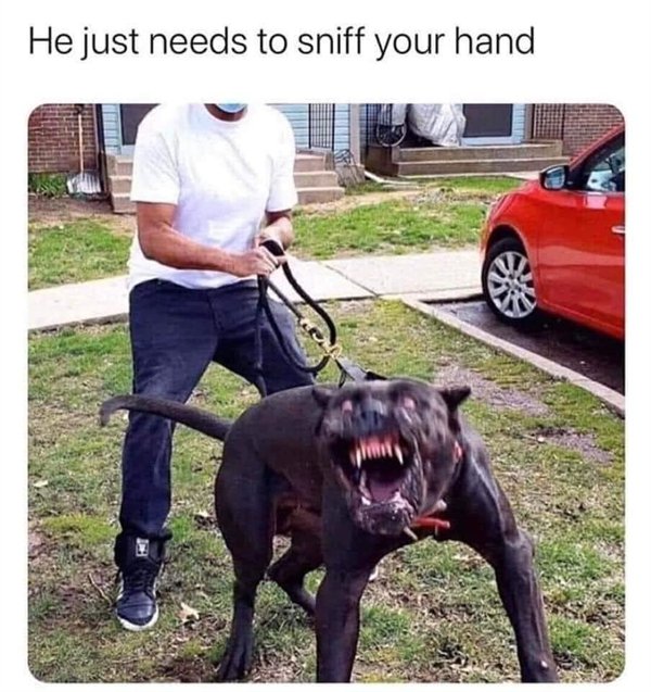 Random Funny Memes (27 pics)