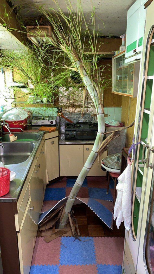 Acid Picdump. Part 1 (96 pics)