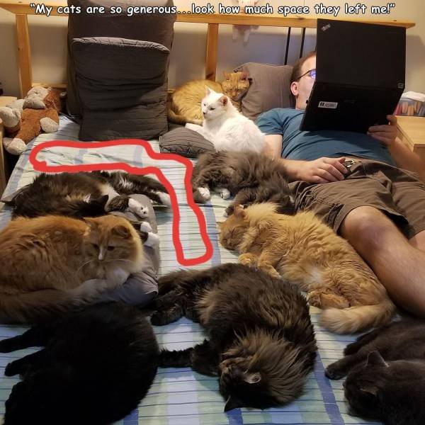 Acid Picdump. Part 1 (96 pics)