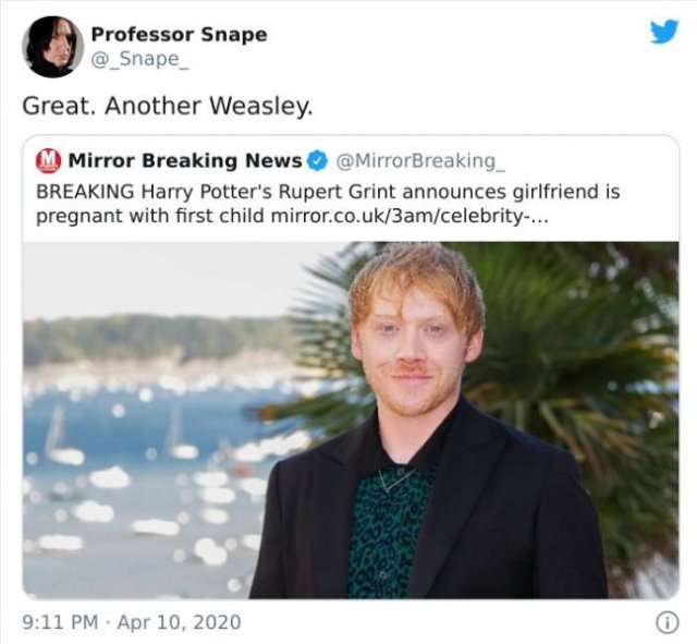 Professor Snape Tweets (29 pics)