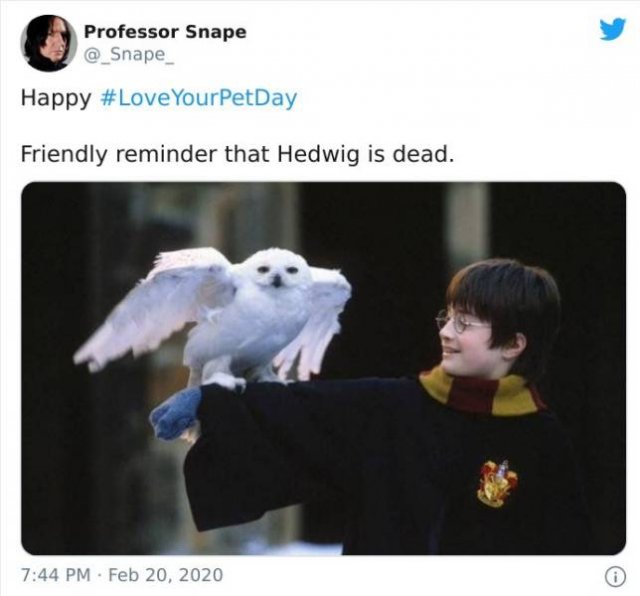 Professor Snape Tweets (29 pics)