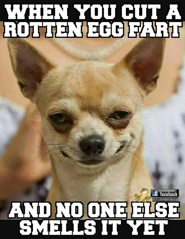 Dirty Humor (40 pics)