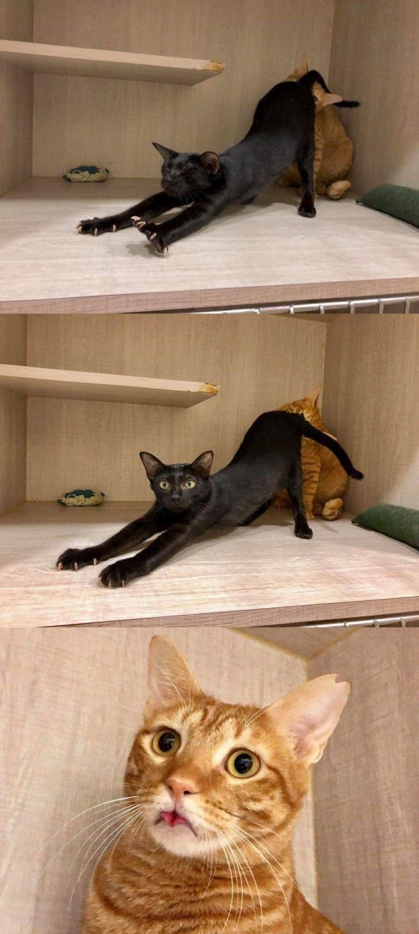 Dirty Humor (40 pics)