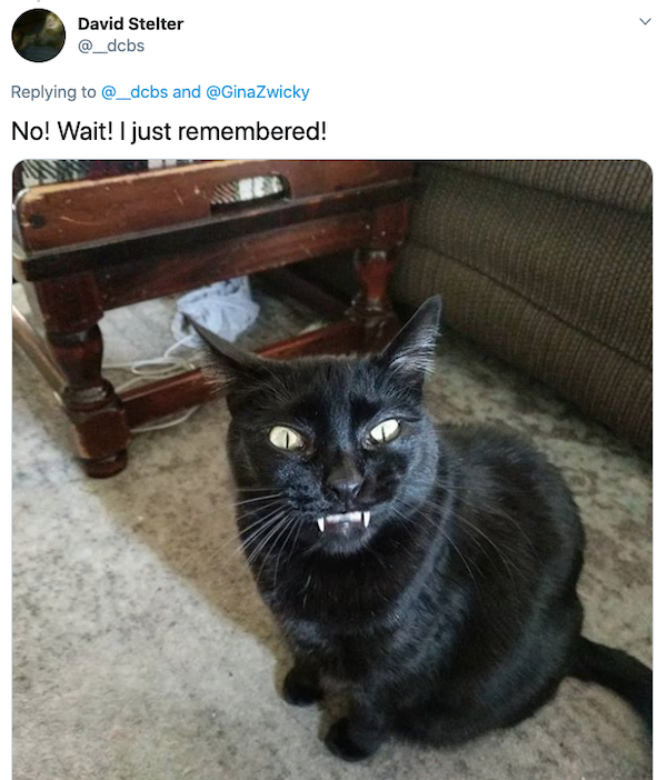 Animals: Taking Pictures Fails (28 pics)