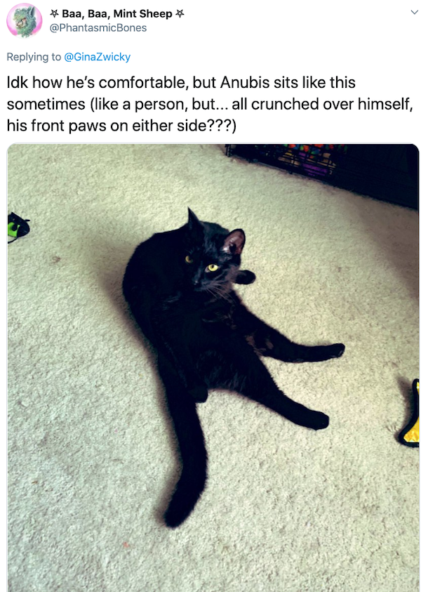 Animals: Taking Pictures Fails (28 pics)