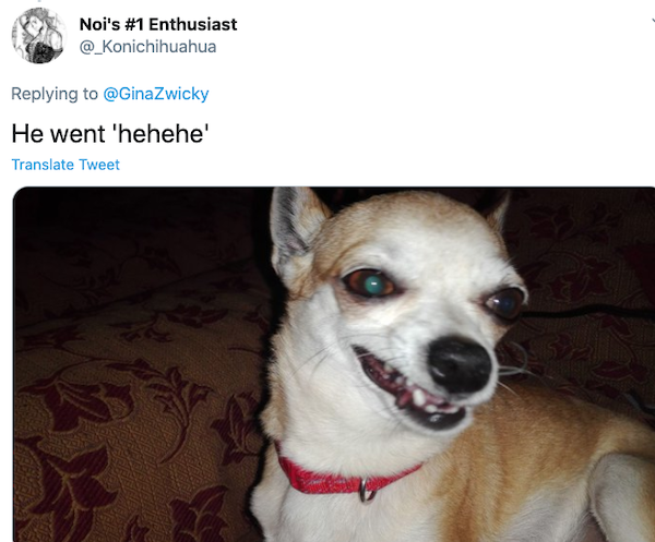 Animals: Taking Pictures Fails (28 pics)