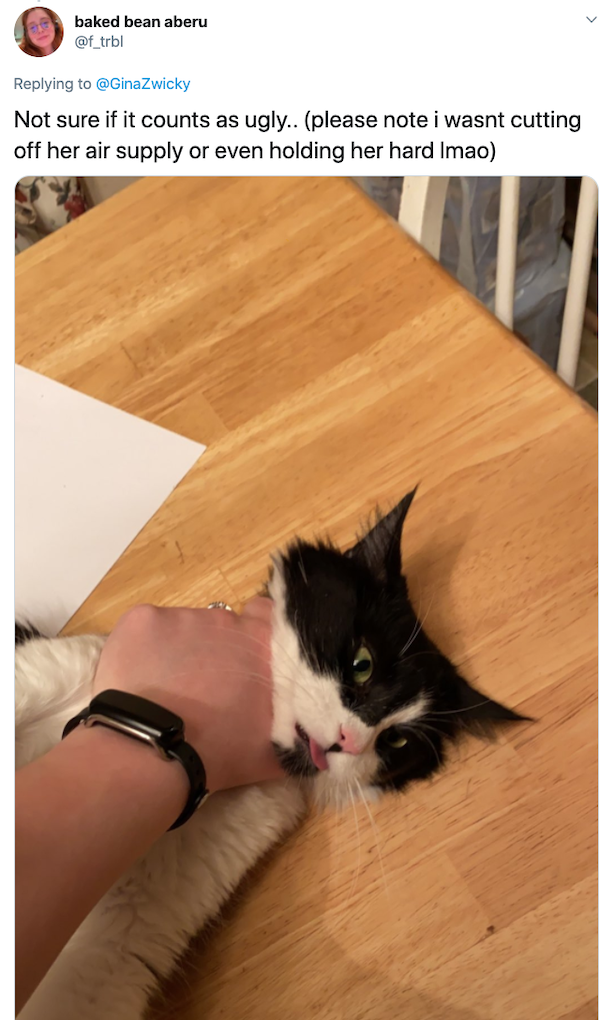 Animals: Taking Pictures Fails (28 pics)