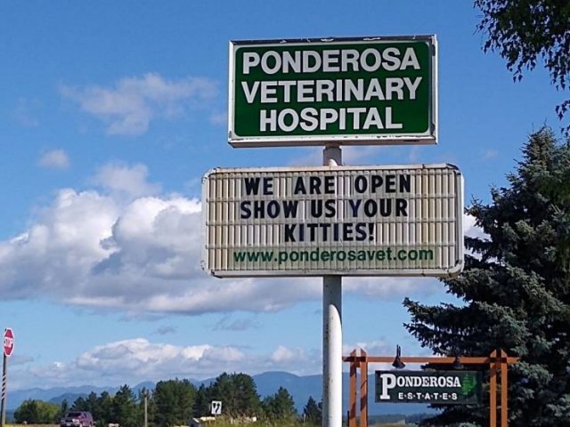 Acid Picdump. Part 2 (93 pics)