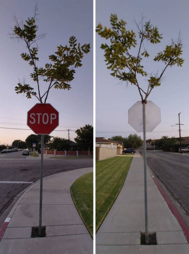 Acid Picdump. Part 2 (93 pics)
