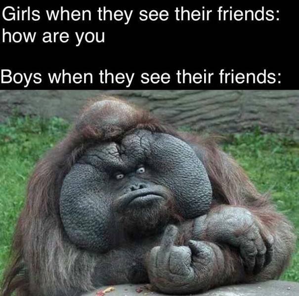 Acid Picdump. Part 2 (93 pics)